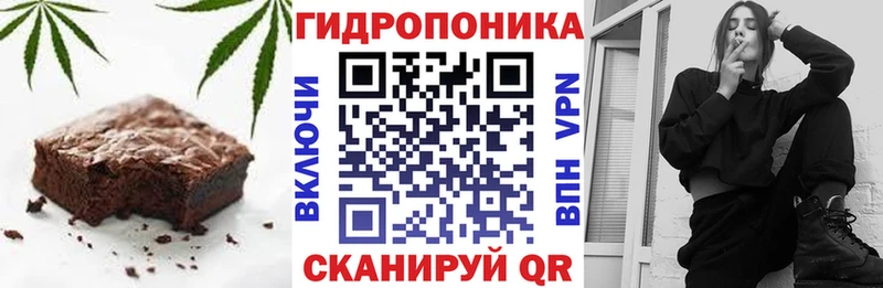 Canna-Cookies марихуана  мега вход  Владикавказ 