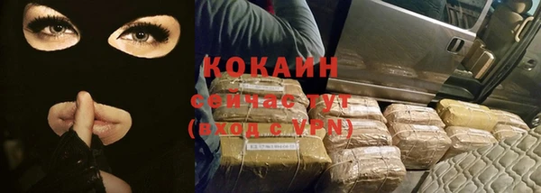 стаф Щигры