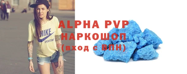 стаф Щигры
