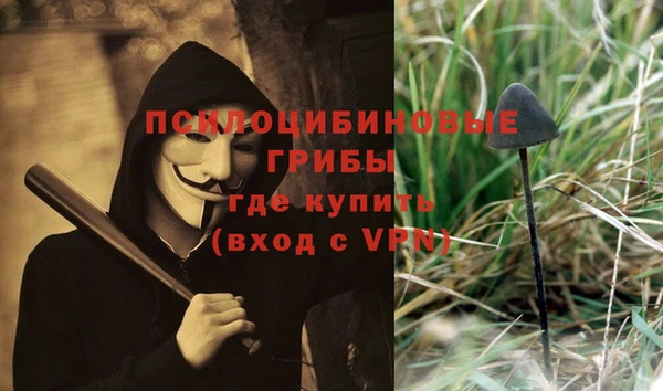 стаф Щигры
