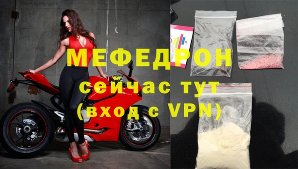 стаф Щигры