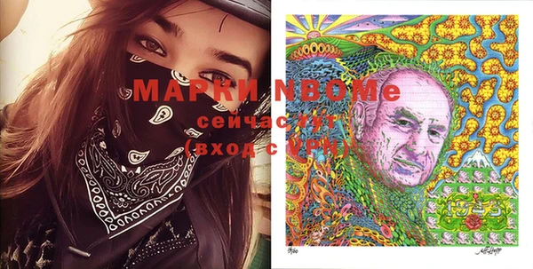 стаф Щигры