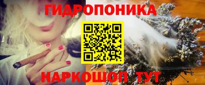 амф Ликино-Дулёво