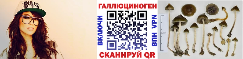 Псилоцибиновые грибы прущие грибы  Владикавказ 