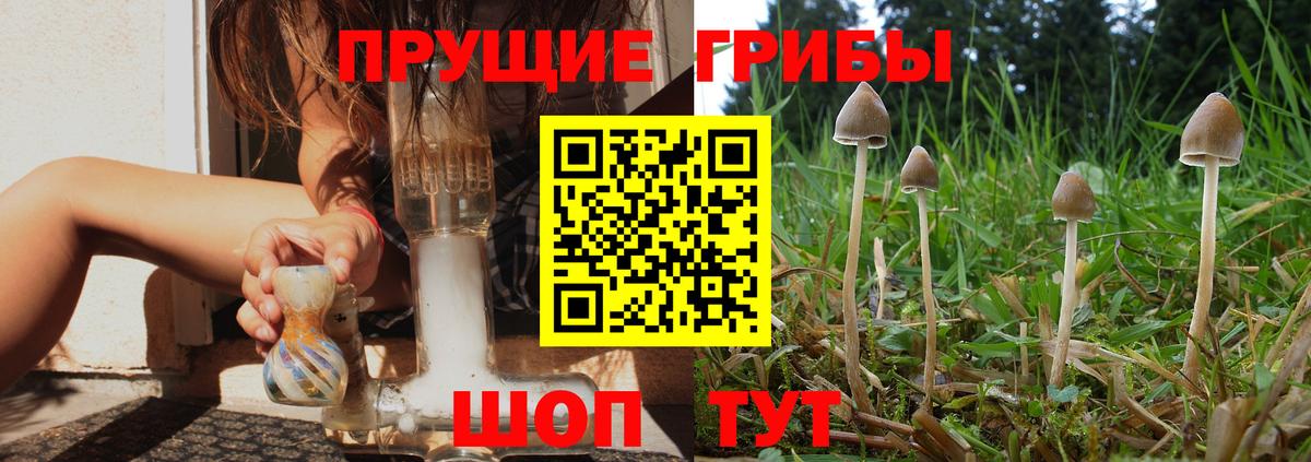 Псилоцибиновые грибы мухоморы  Вход с VPN  Владикавказ 